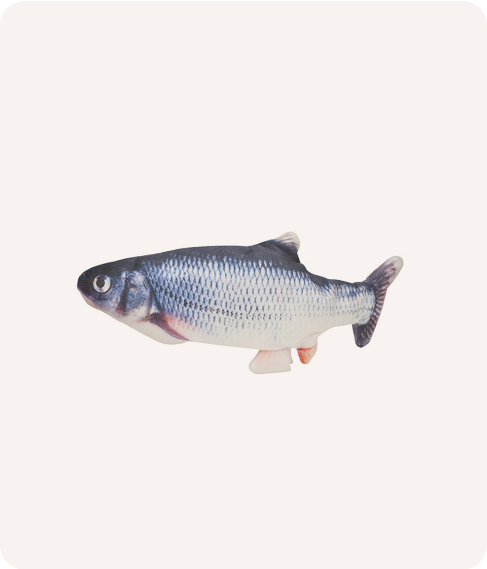 Pet Toy Simulation Fish