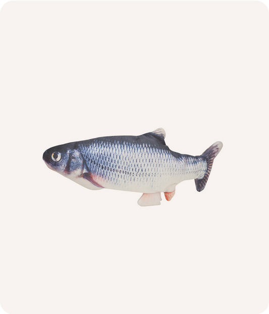 Pet Toy Simulation Fish