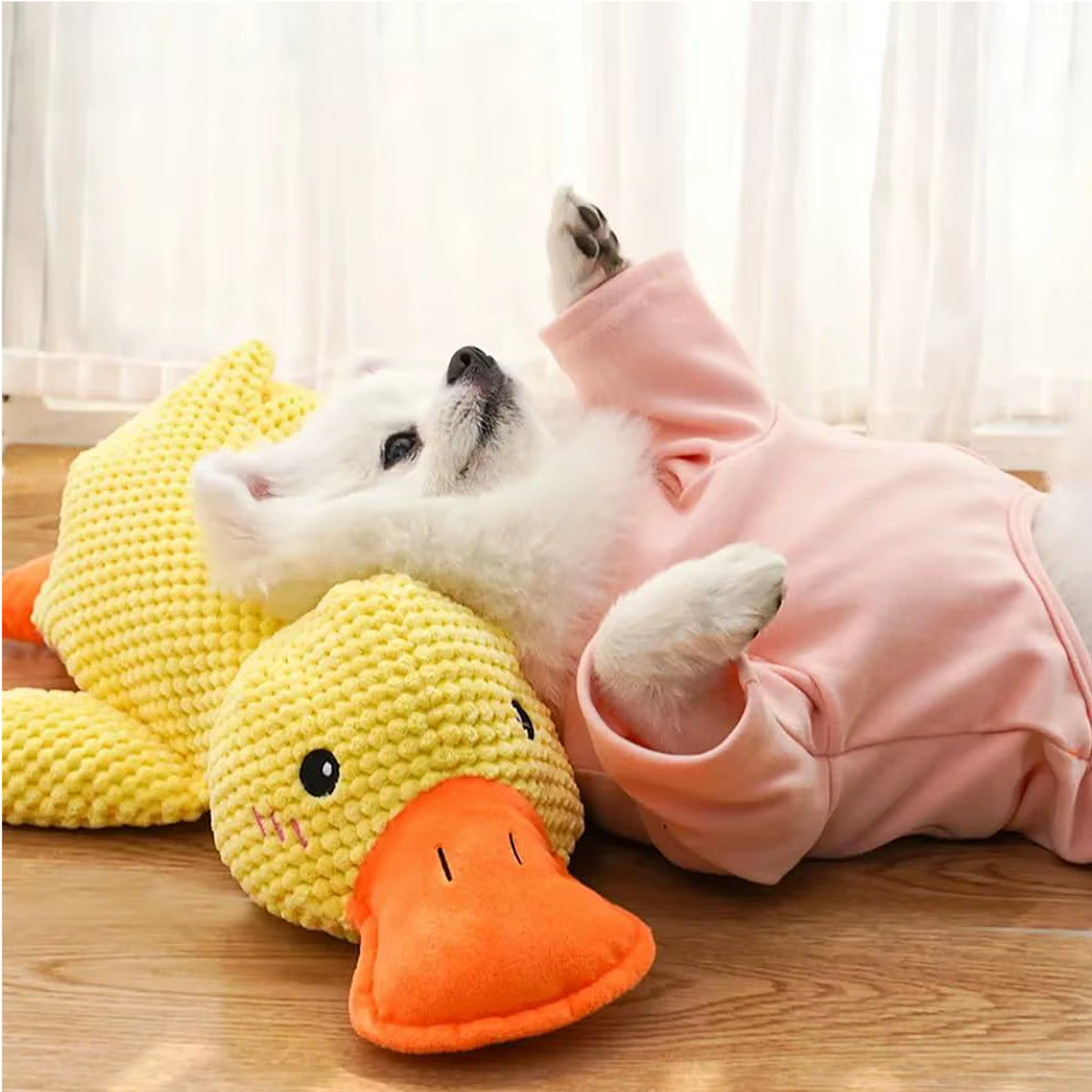 Quack-Quack Duck Dog Toy