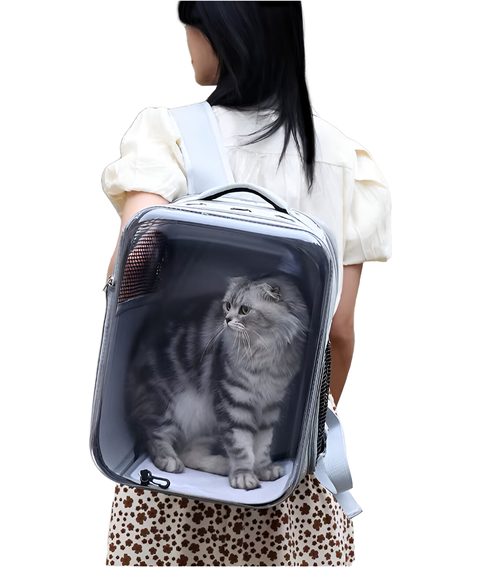 Cat Backpack Carrier