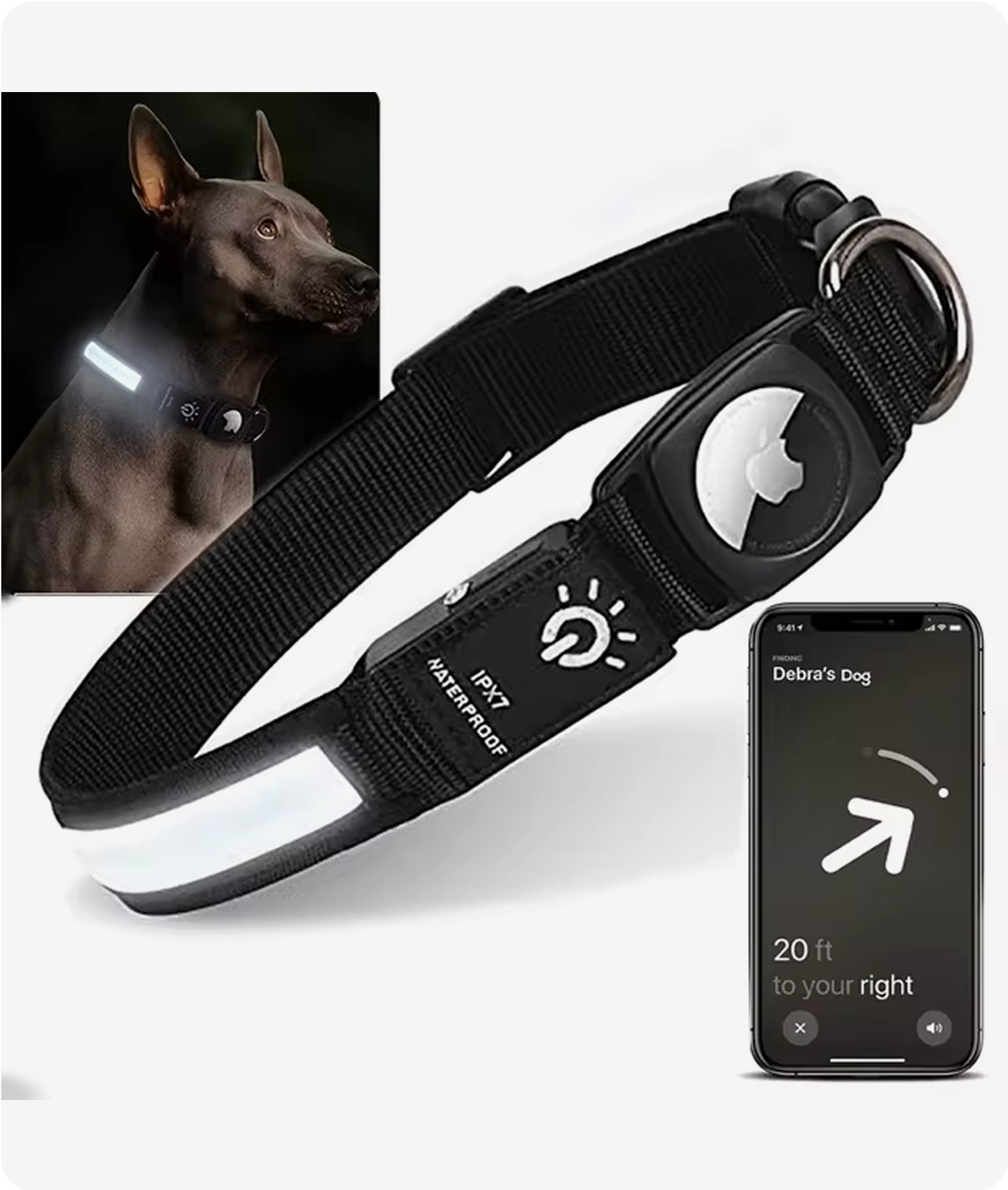 Pet Dog GPS Collar