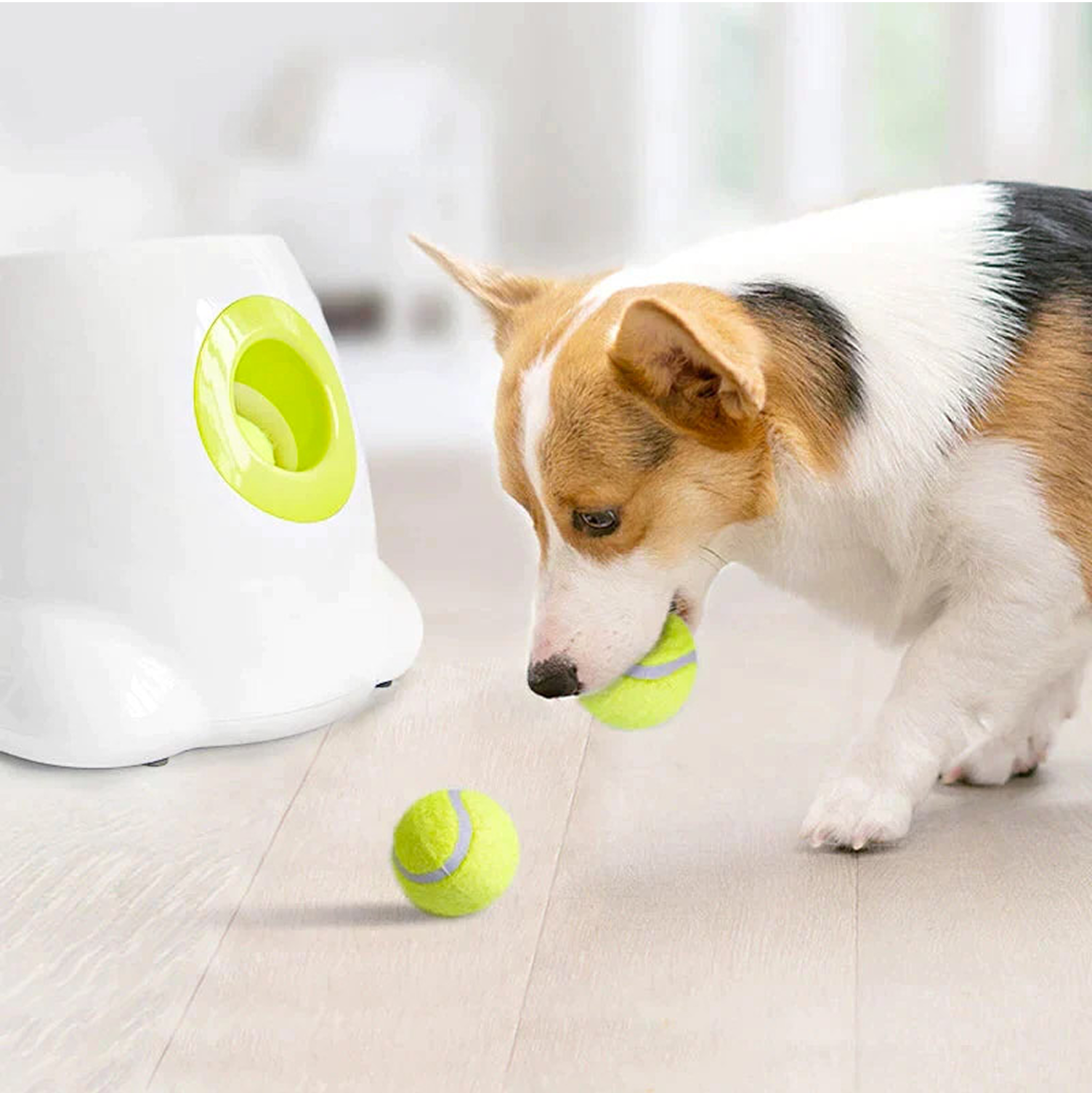 Automatic Dog Tennis Launcher