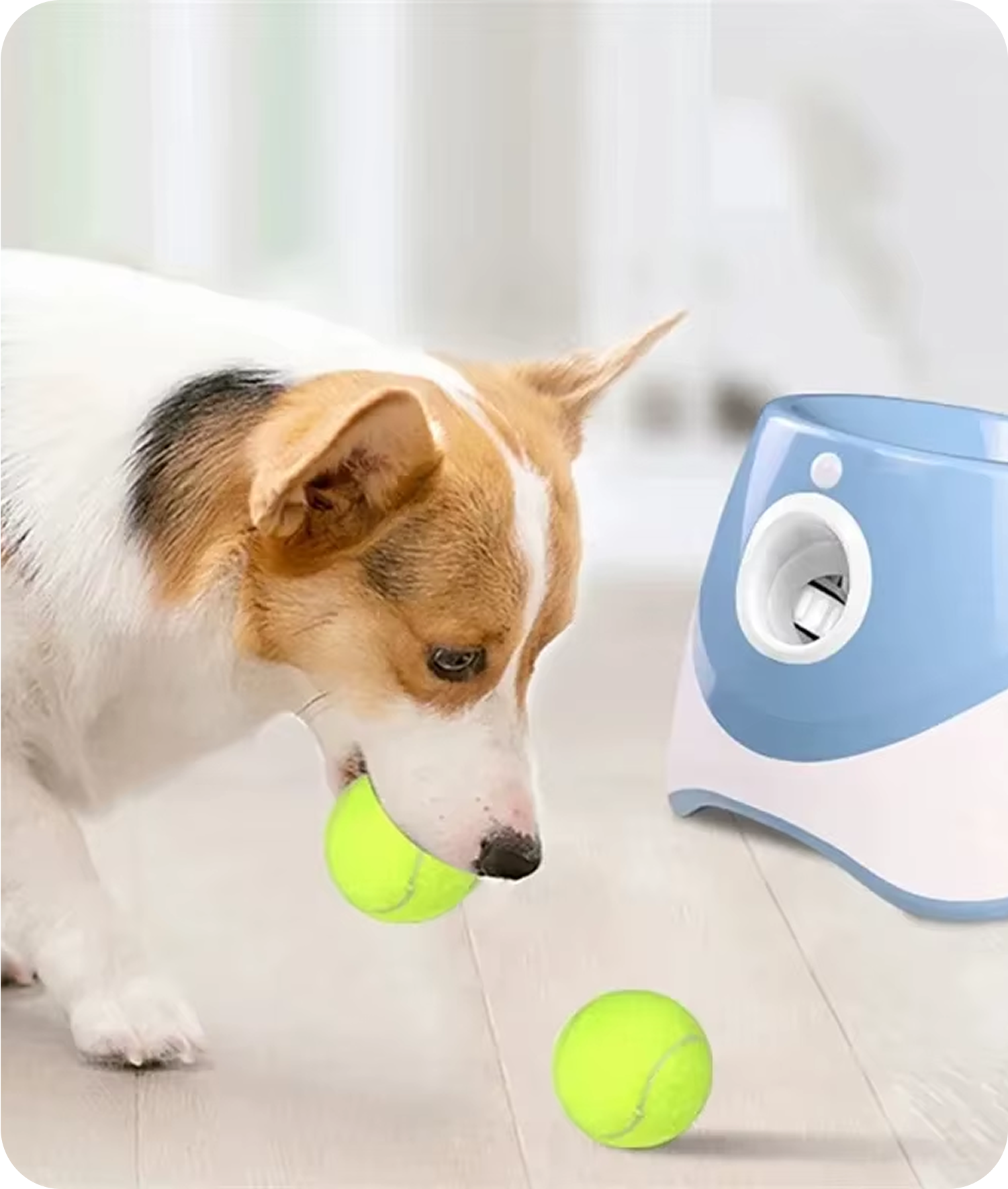 Automatic Dog Tennis Launcher