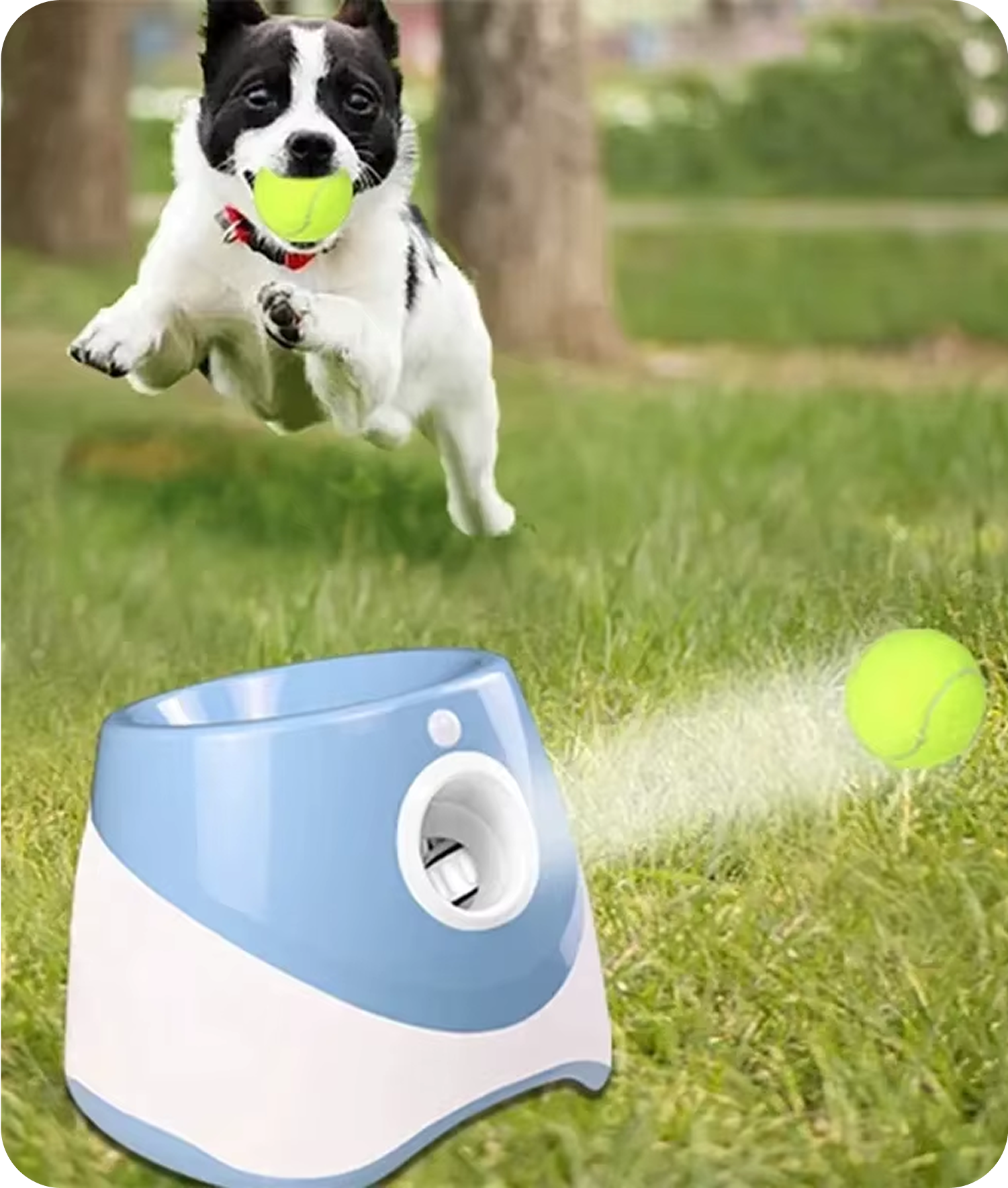 Automatic Dog Tennis Launcher